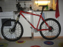 On-One Inbred 456 (red)