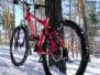 Specialized Epic